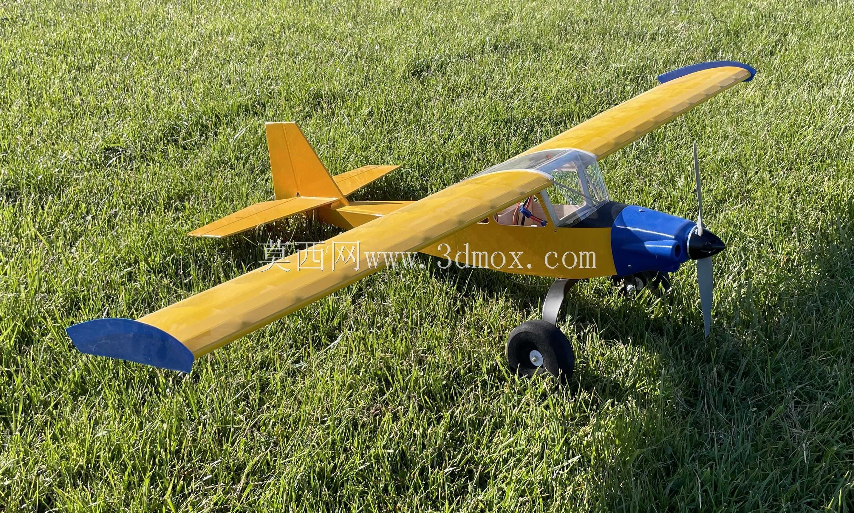 Bird Dog 2.0 RCģ�ͷɻ�