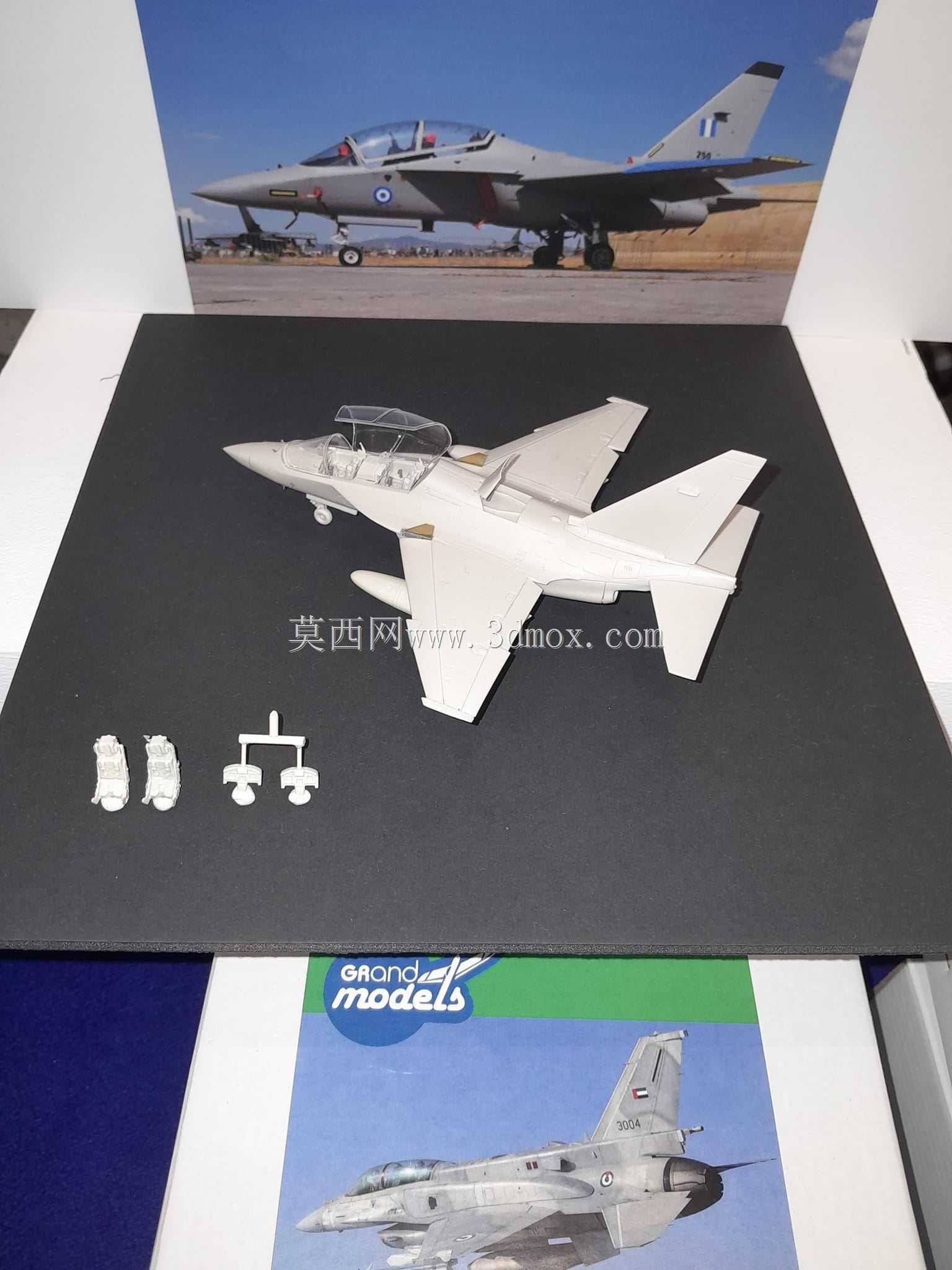 Aermachi M 346
