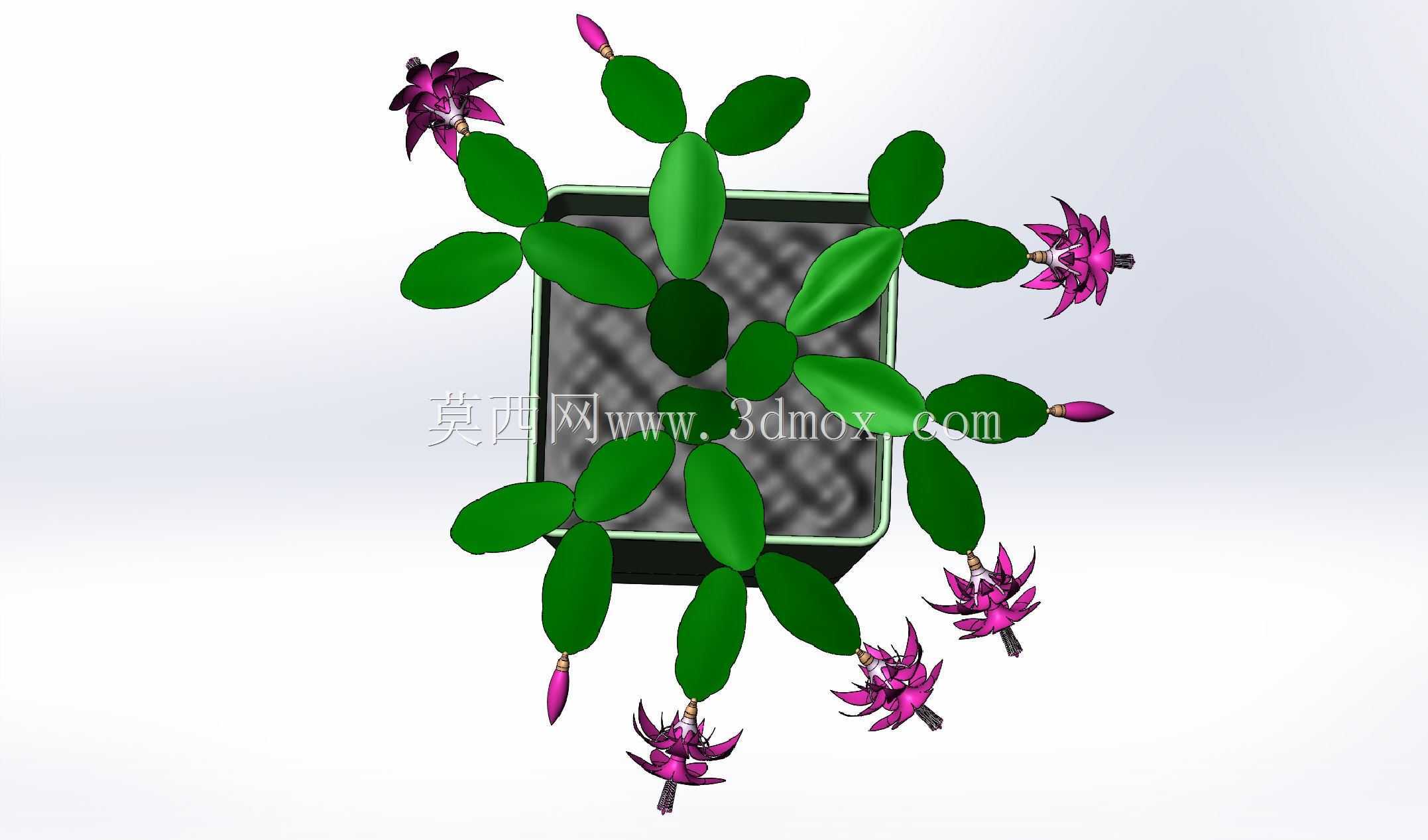 ���ӧ֧ѧѧ���/������Ļ�