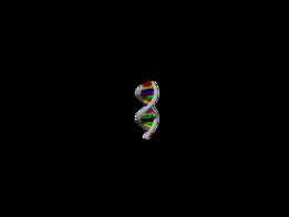 DNA��
