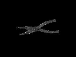 ����ǯ��