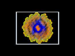 DNA�ռ����ģ��