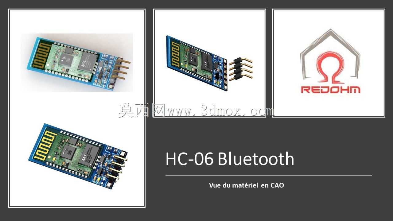 HC 06