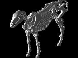 ���Ǽ�