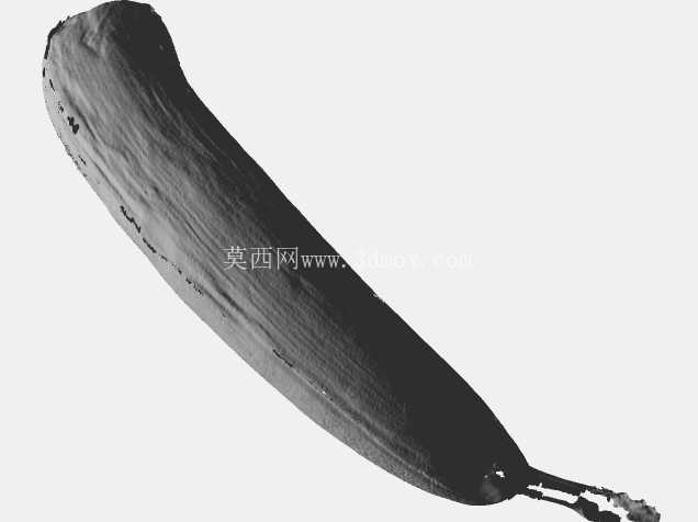香蕉
