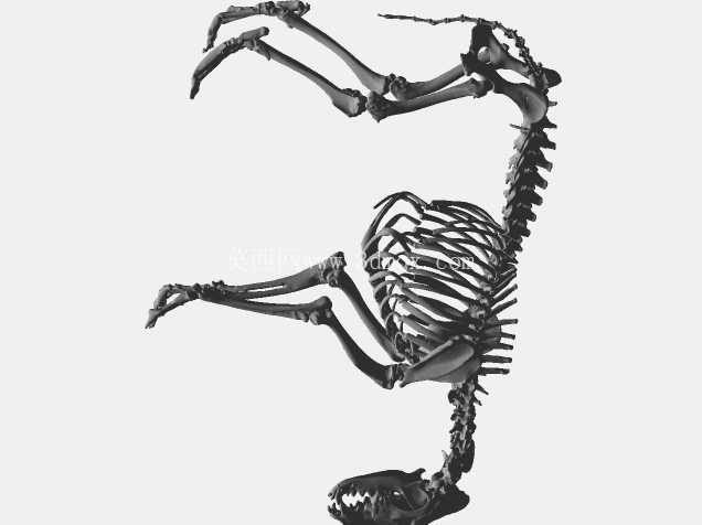 ������ 3D ɨ��