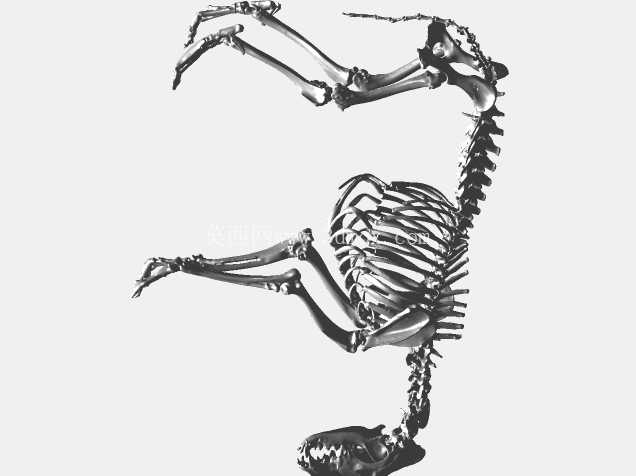 ������ 3D ɨ��