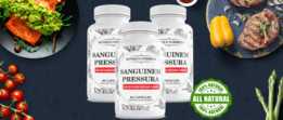Sanguinem Pressura��2025 �������������֧��Ѫ�ǣ�ά��Ѫ֬ˮƽ
