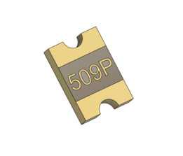 509P