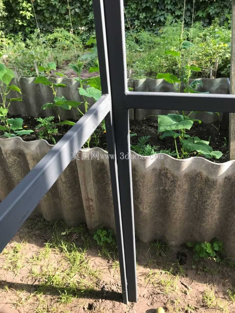 ��ͤ