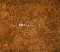 Modenese�������֧��