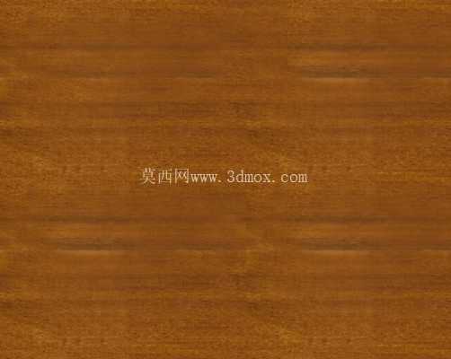 Modenese�������֧��