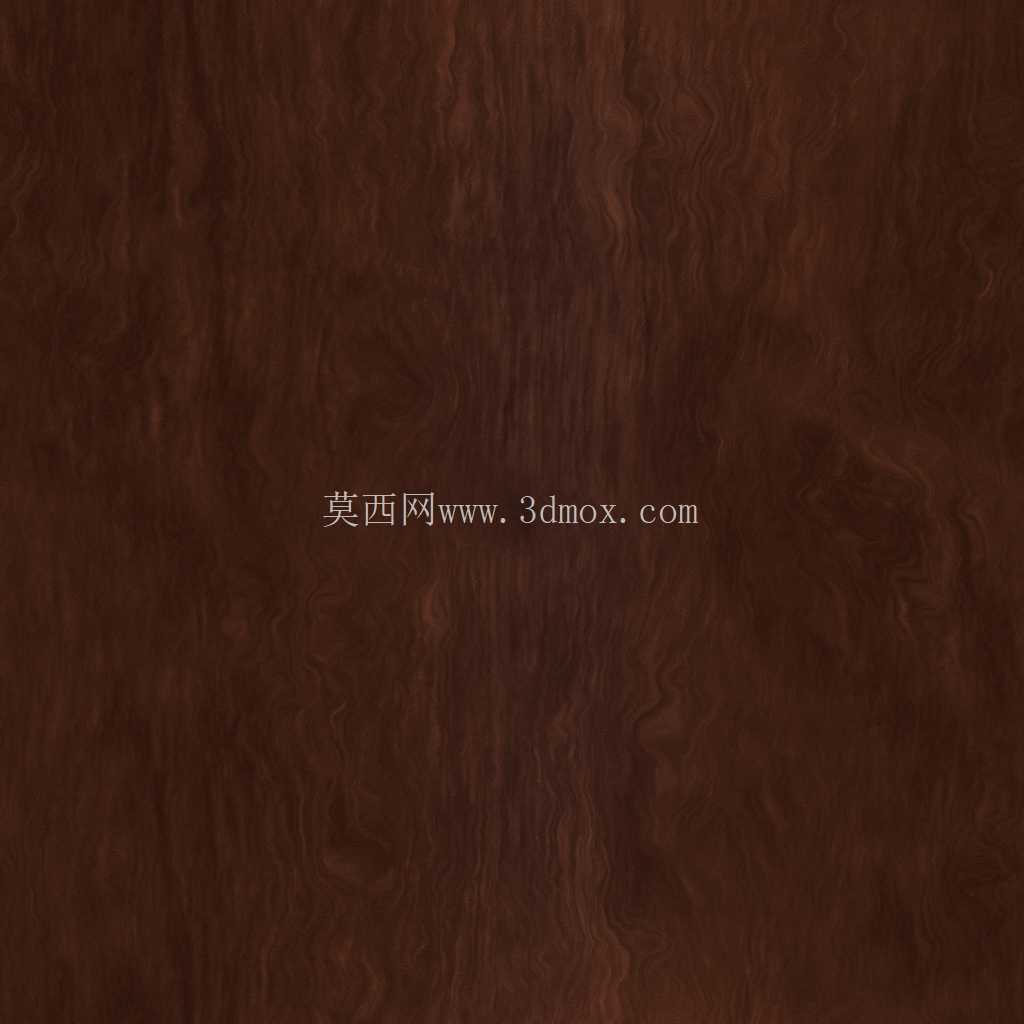 Modenese��4������Ӽ�