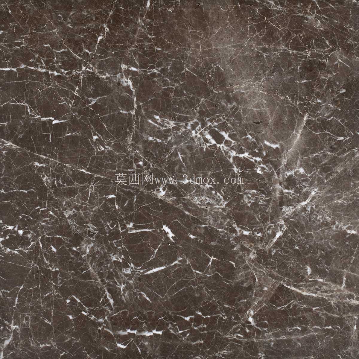 Modenese�ĳ����λʵۿ�����