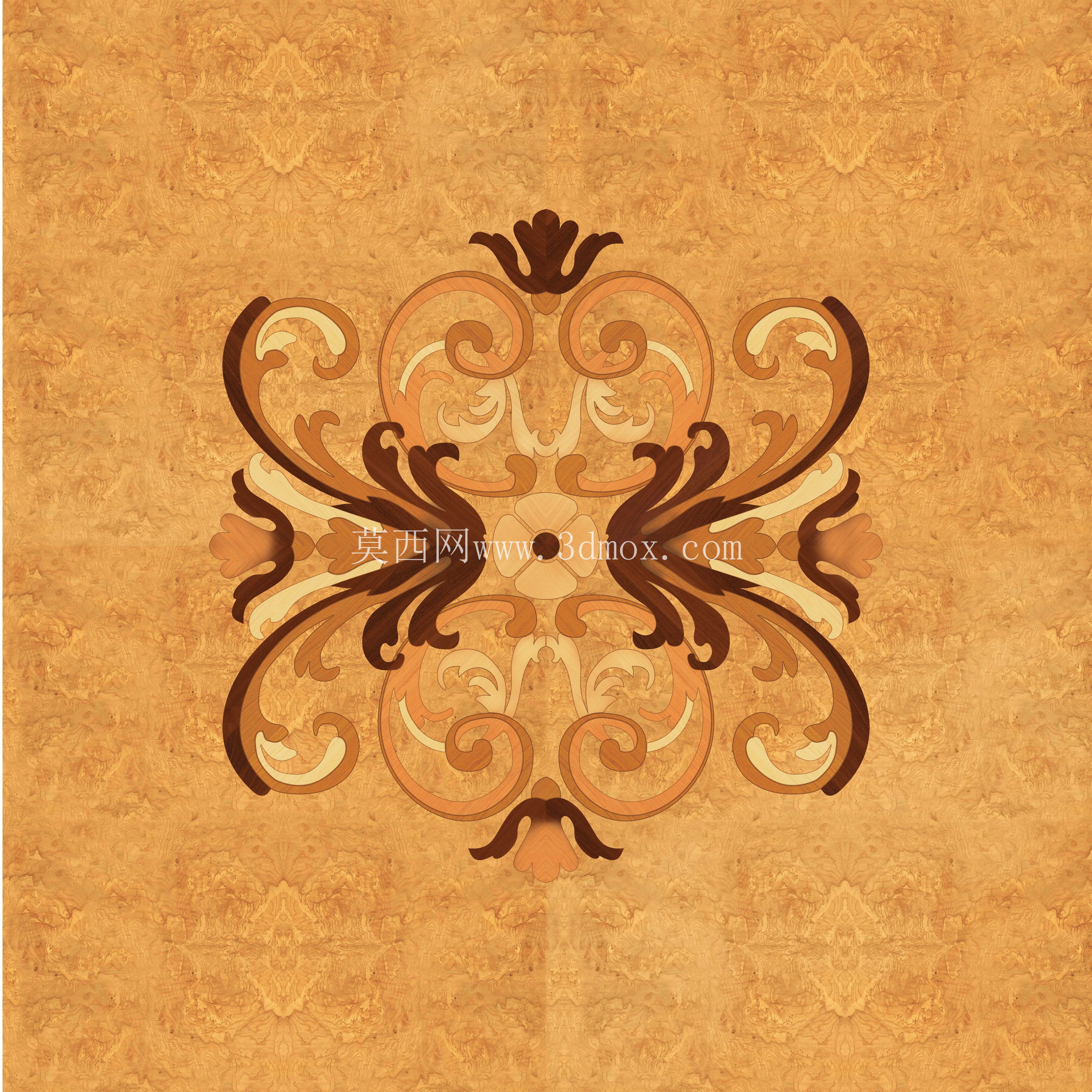 Modenese��ǶԲ�β���