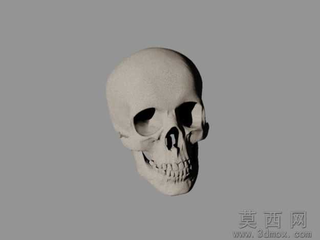 ͷ��1