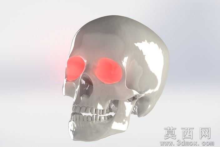 3部件解剖头骨模型