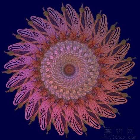 蜻蜓钣金