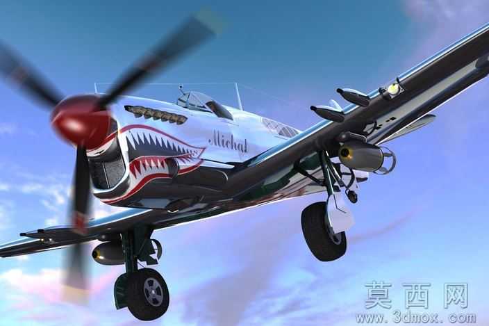 �Ѷ���ө���ɻ�WW2