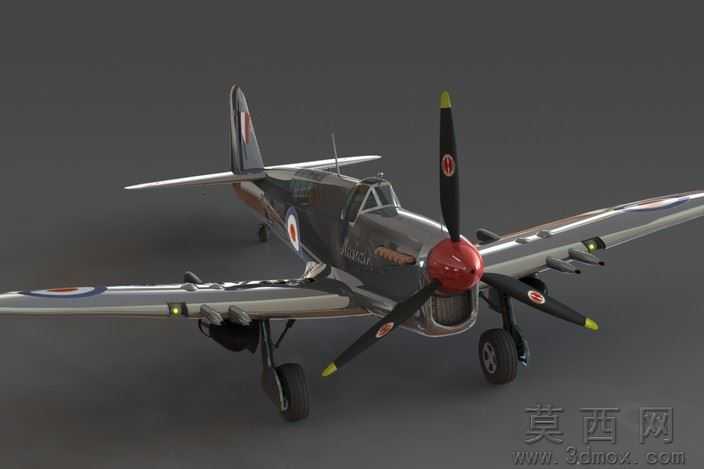 �Ѷ���ө���ɻ�WW2