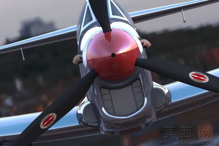 �Ѷ���ө���ɻ�WW2
