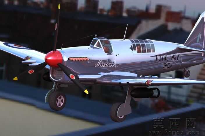 �Ѷ���ө���ɻ�WW2