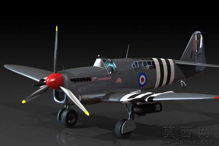 �Ѷ���ө���ɻ�WW2
