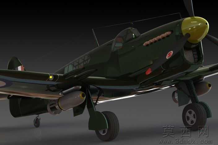 �Ѷ���ө���ɻ�WW2