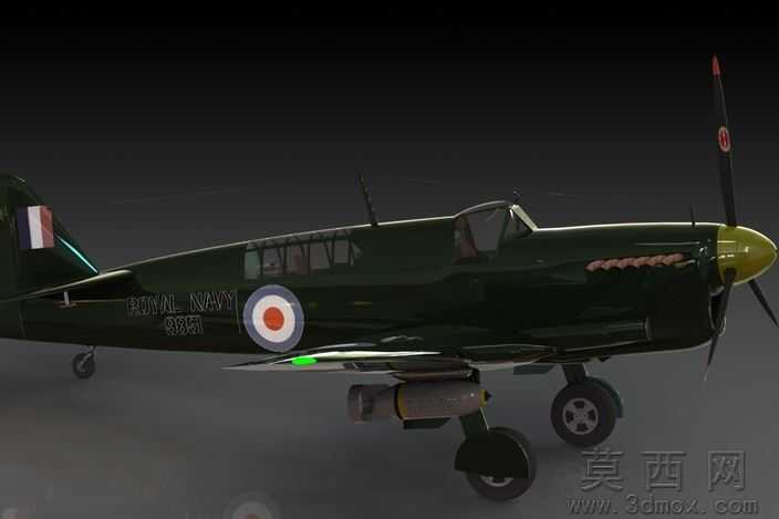 �Ѷ���ө���ɻ�WW2
