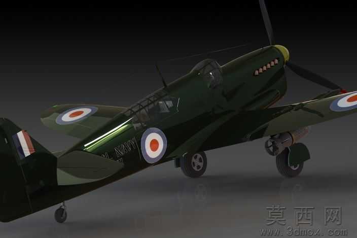 �Ѷ���ө���ɻ�WW2