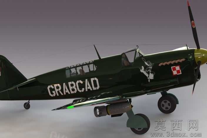 �Ѷ���ө���ɻ�WW2