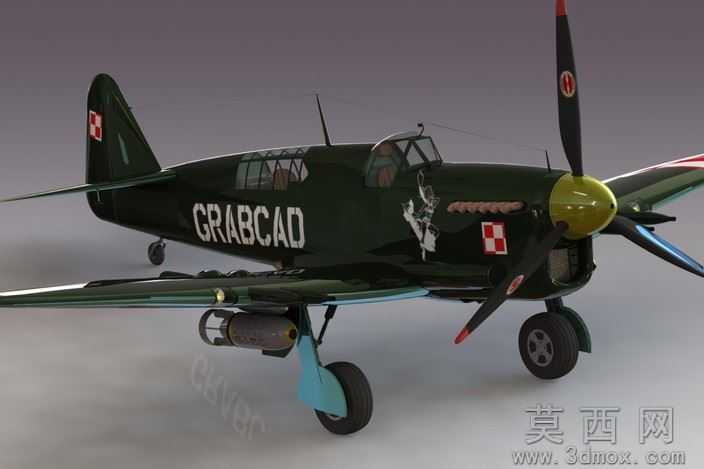 �Ѷ���ө���ɻ�WW2