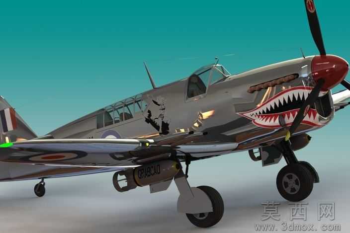 �Ѷ���ө���ɻ�WW2