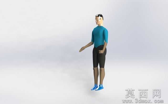 假人模型