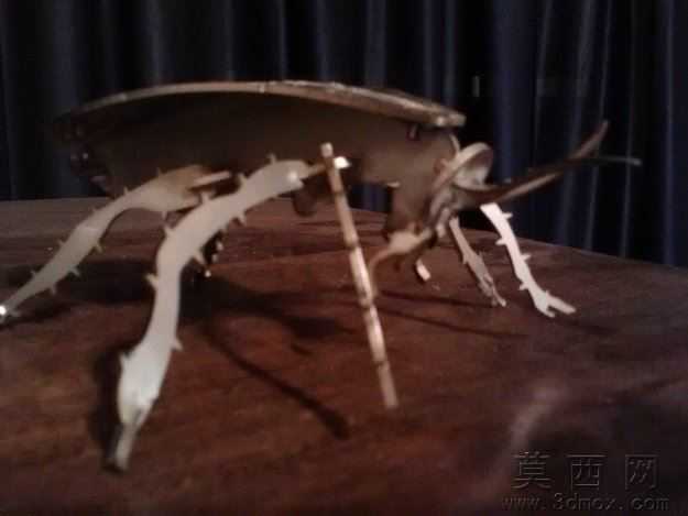 蟑螂,榈Bug,木工艺的拼图游戏,bug、3d模型、益智、钣金件、me