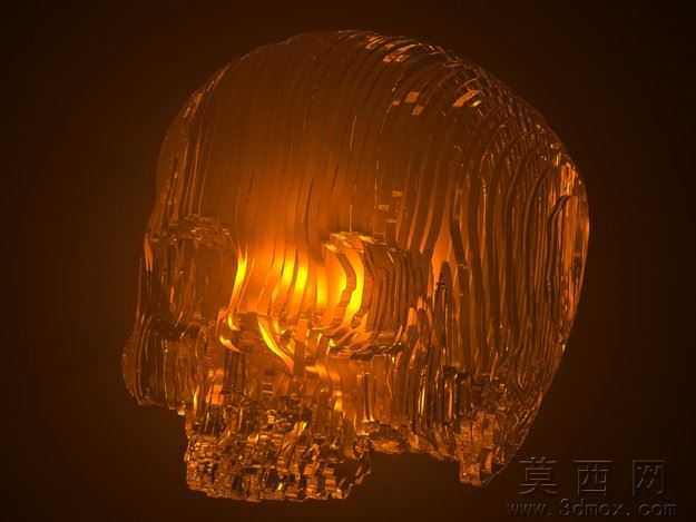 固体部分头骨