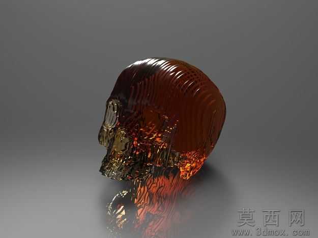 固体部分头骨