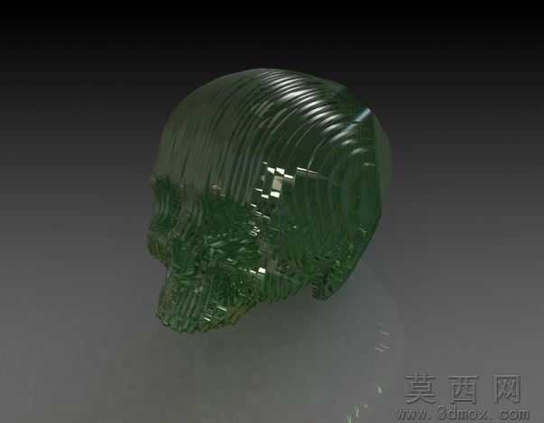 固体部分头骨