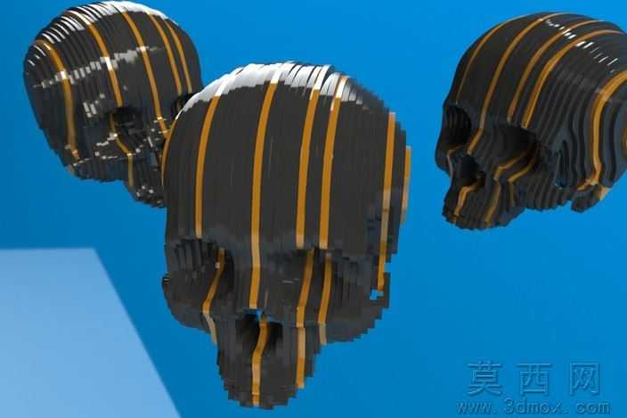 固体部分头骨