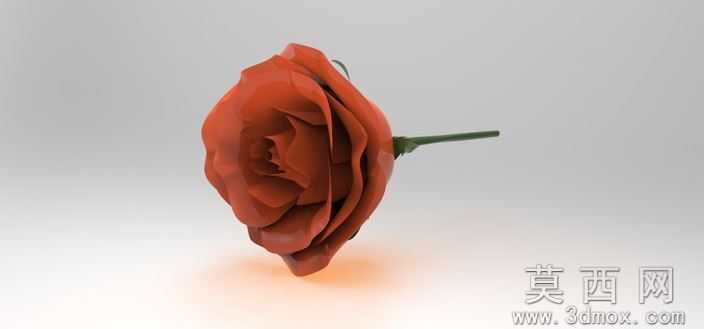 玫瑰花