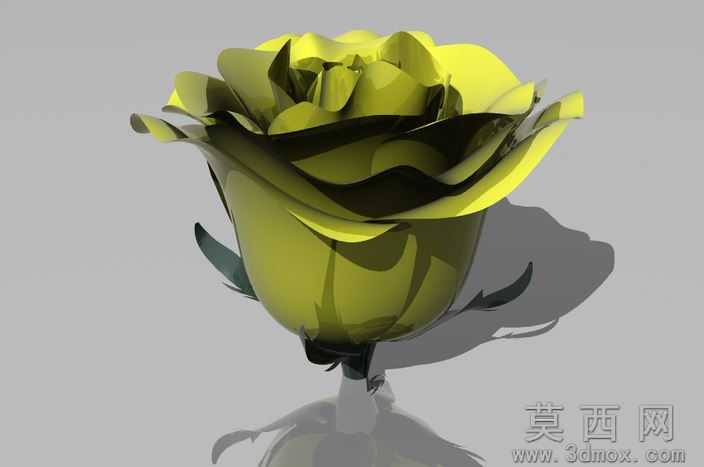 玫瑰花