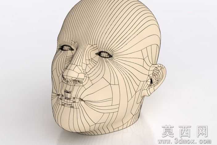 人体头部