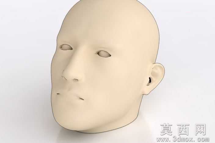 人体头部