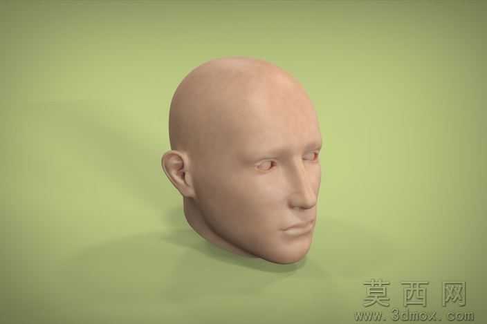 人体头部