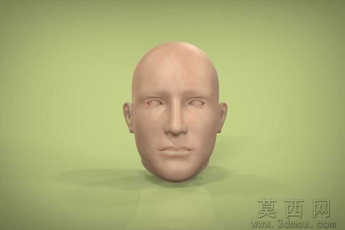 人体头部