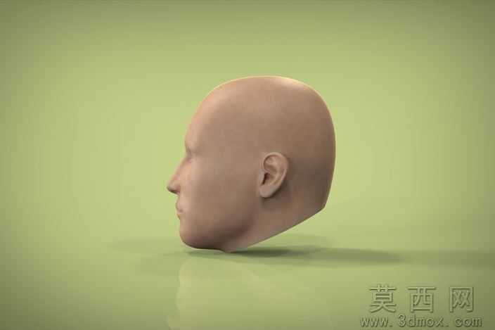 人体头部