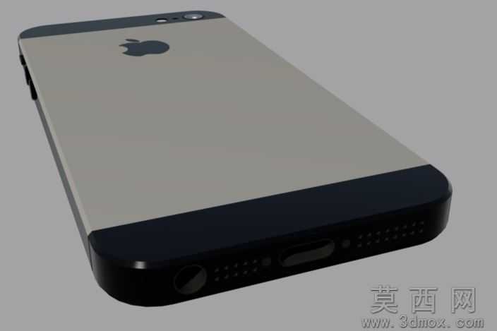 iPhone5S
