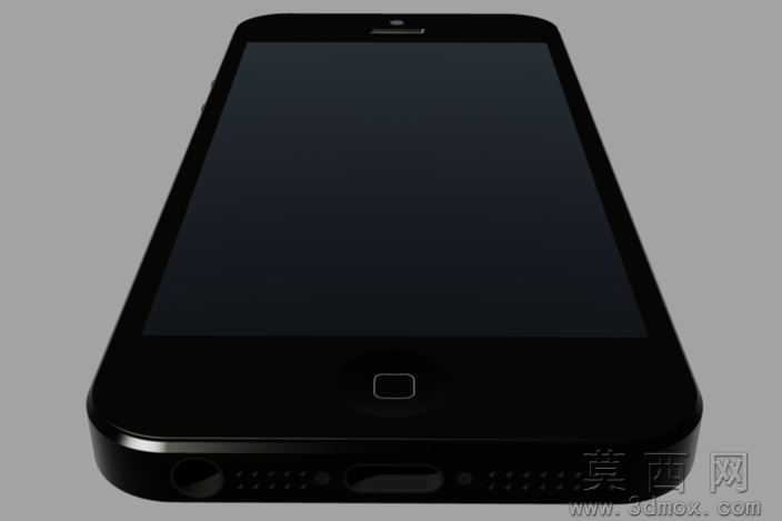 iPhone5S
