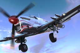 �Ѷ���ө���ɻ�WW2