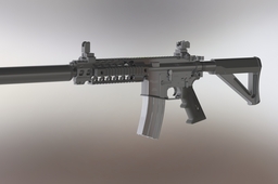SIG556��ǹ��������